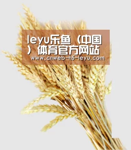 leyu乐鱼（中国）体育官方网站 - LEYU.COM