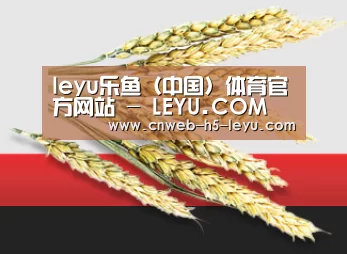 leyu乐鱼（中国）体育官方网站 - LEYU.COM