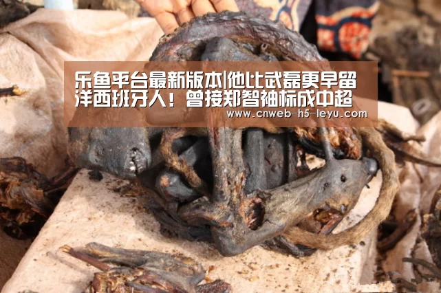 乐鱼平台最新版本|他比武磊更早留洋西班牙人!曾接郑智袖标成中超首位00后队长!(图4) 乐鱼体育App下载