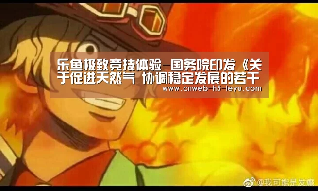 乐鱼极致竞技体验-国务院印发《关于促进天然气 协调稳定发展的若干意见》(图3) 乐鱼平台最新版本