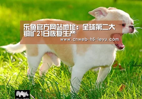 乐鱼官方网站地址:全球第二大铜矿21日恢复生产(图4) 乐鱼平台最新版本