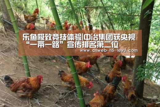 乐鱼极致竞技体验|中冶集团获央视“一带一路”宣传排名第二位(图2) 乐鱼极致竞技体验