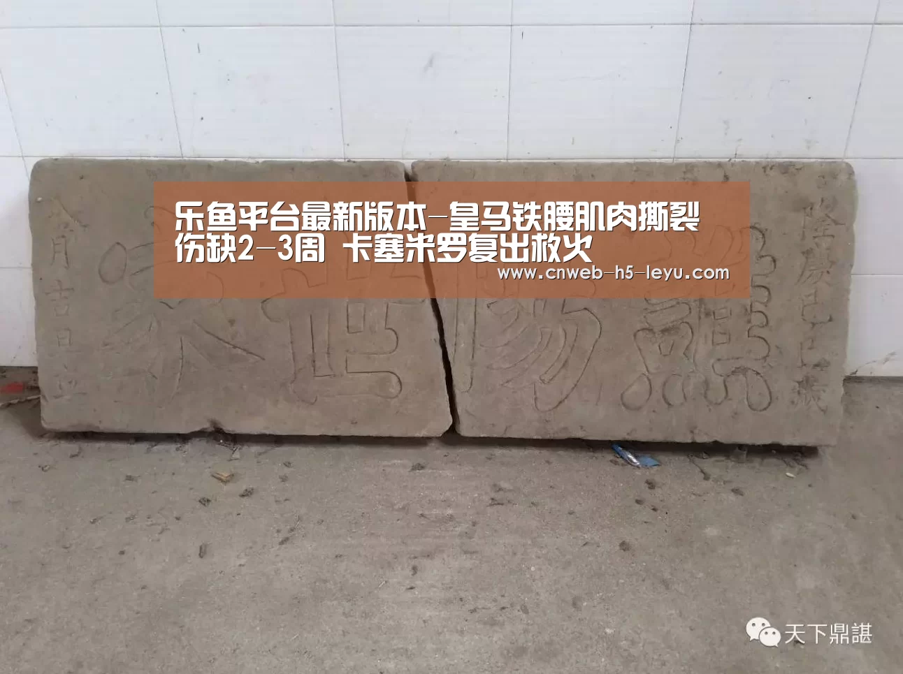 乐鱼极致竞技体验