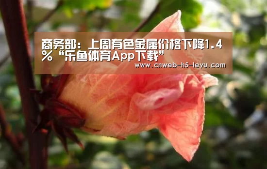 商务部:上周有色金属价格下降1.4%“乐鱼体育App下载”(图1) 乐鱼平台最新版本
