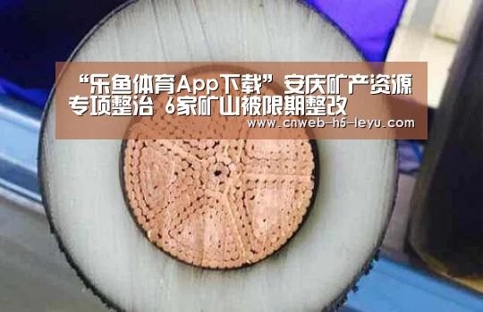 “乐鱼体育App下载”安庆矿产资源专项整治 6家矿山被限期整改(图2) 乐鱼平台最新版本