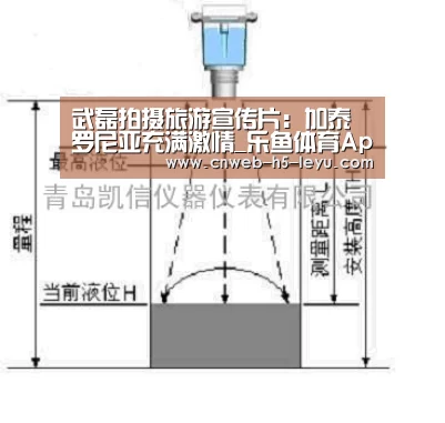 乐鱼平台最新版本