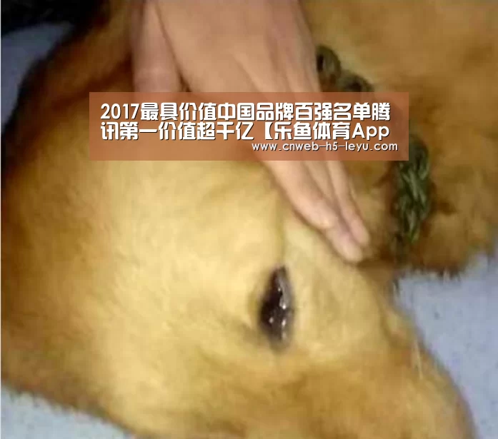 2017最具价值中国品牌百强名单腾讯第一价值超千亿【乐鱼体育App下载】(图1) 乐鱼体育App下载