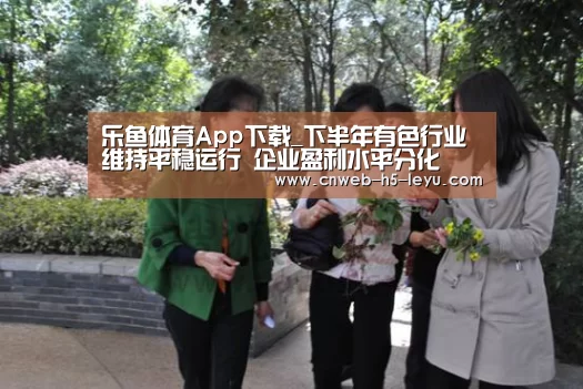 乐鱼体育App下载_下半年有色行业维持平稳运行 企业盈利水平分化(图2) 乐鱼官方网站地址