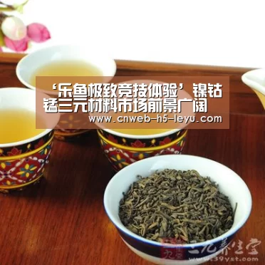 ‘乐鱼极致竞技体验’镍钴锰三元材料市场前景广阔(图4) 乐鱼平台最新版本