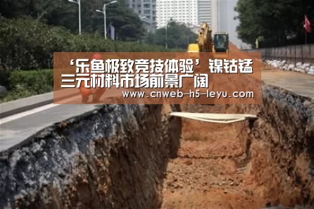 ‘乐鱼极致竞技体验’镍钴锰三元材料市场前景广阔(图1) 乐鱼极致竞技体验