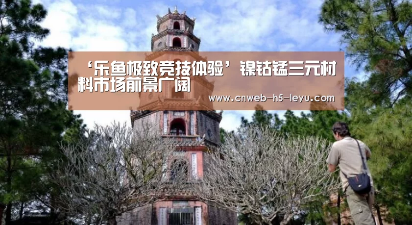 ‘乐鱼极致竞技体验’镍钴锰三元材料市场前景广阔(图3) 乐鱼平台最新版本