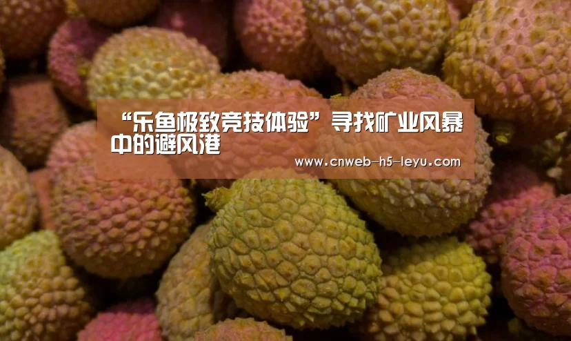 “乐鱼极致竞技体验”寻找矿业风暴中的避风港(图4) 乐鱼官方网站地址