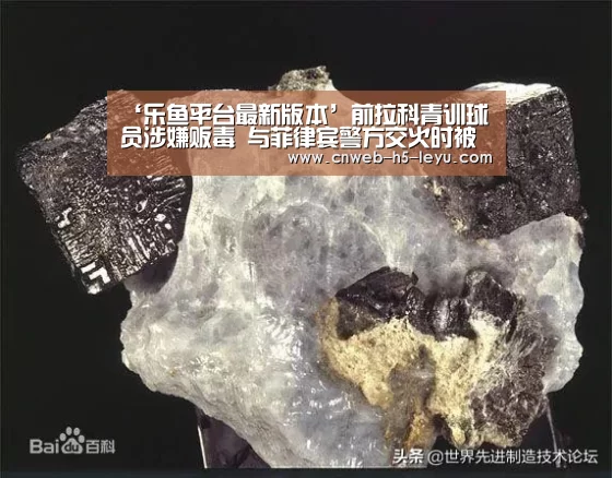 乐鱼体育App下载