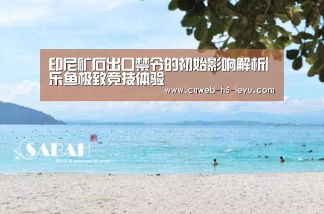 印尼矿石出口禁令的初始影响解析|乐鱼极致竞技体验(图1) 乐鱼极致竞技体验